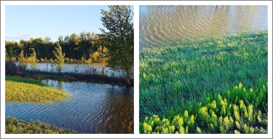 Diptych of Paddle River flooding